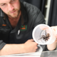 Jake Maney, el responsable de arácnidos del Centro de Reptiles de Australia, sosteniendo el ejemplar con visible cuidado.